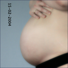 buik_arie_150204